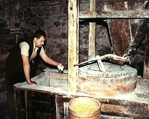 fmill1.jpg