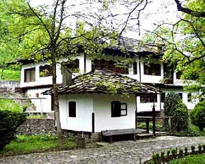 home1.jpg