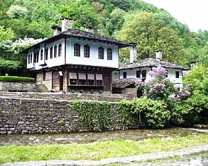 home5.jpg