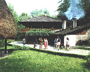 home6.jpg