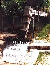 water1.jpg
