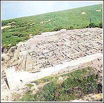 SHOUMEN FORTRESS