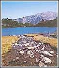 Pirin