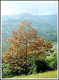 The Sredna Gora Mountains