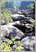 Vitosha