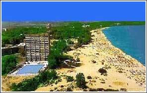 Sunny Beach View
